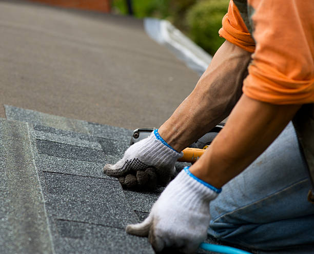 Best Roof Leak Repair  in Buhl, ID
